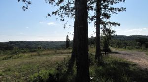 Vue du banc des Chasseurs - THL Thierry Lebrun